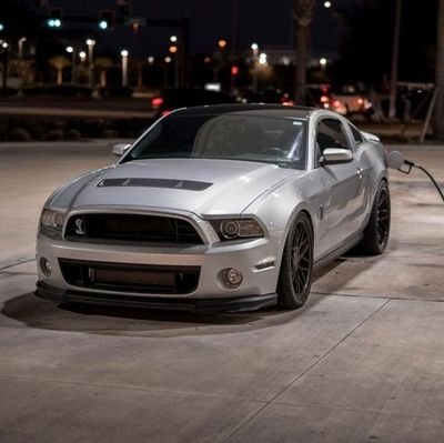 Mustang Enthusiast/CVPI Enthusiast🏁🚔