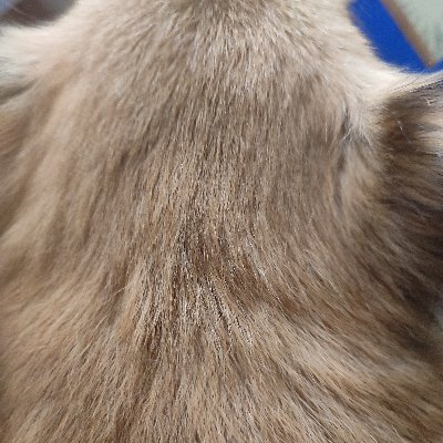 dotekha085's profile picture. 