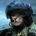 Tactical Cat (@r2fu1) Twitter profile photo Tactical Cat (@r2fu1) Twitter profile photo