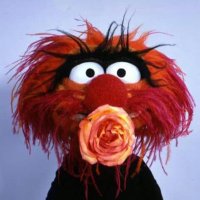 jamez ⛤ (@jimmymushr00mz) 's Twitter Profile