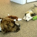 bobby leon henson - @leon_bobby - Twitter