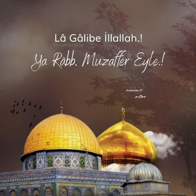 NurglHaned70180's profile picture. 🇵🇸🇵🇸🇹🇷🇹🇷