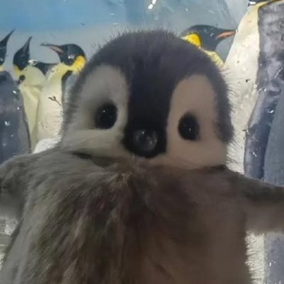 g_ram77's profile picture. Planning To Become A Content Creator