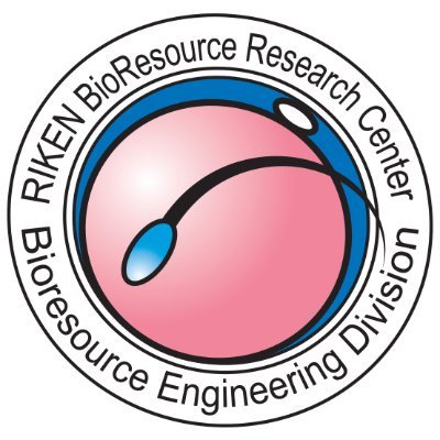 理化学研究所バイオリソース研究センター(@RIKEN_BRC_jp)遺伝工学基盤技術室の公式アカウントです。2025年3月をもって同室は終了し、2025年4月より統合発生工学研究開発室(@RBRC_iDED_jp)が後継Labとして発足しました。