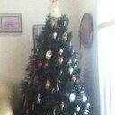 david mcginness - @McginnessDavid - Twitter