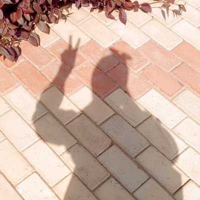 Shimaam78153782's profile picture. Tamer hosny ❤

𝗗𝗼 𝗻𝗼𝘁 𝗴𝗶𝘃𝗲 𝘂𝗽. 𝗧𝗵𝗲 𝗯𝗲𝗴𝗶𝗻𝗻𝗶𝗻𝗴 
𝗶𝘀 𝗮𝗹𝘄𝗮𝘆𝘀 𝘁𝗵𝗲 𝗵𝗮𝗿𝗱𝗲𝘀𝘁.
_ 

https://t.co/RjgnHshjru