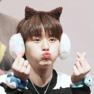 !closed! Hi I am K-pop multifandom fan and I love anime warriorrcats & books & other groups & etc im a fan