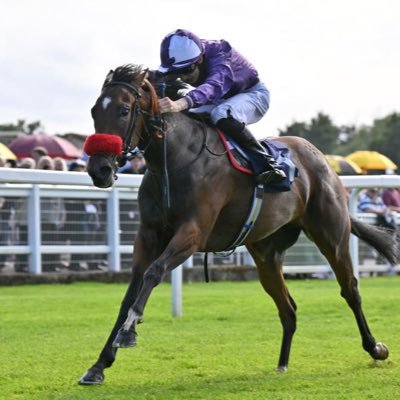 Apprentice jockey to George Scott Represented by Jack Hind