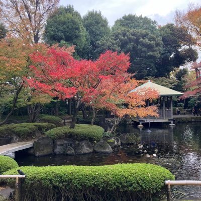 飯山先生を支持し、暖かな家庭や友達を大事にする社会を作りたいですね。日本は戦後のWGIPから脱却し、古き良き伝統を守り、自衛のできる国家になる必要があります。私は被爆二世ですが核は何らかの形で、持つべきだと思います。C国は危険すぎます。北もいつ暴発するかわからない。 被爆についてはアメリカの責任を追及したい。