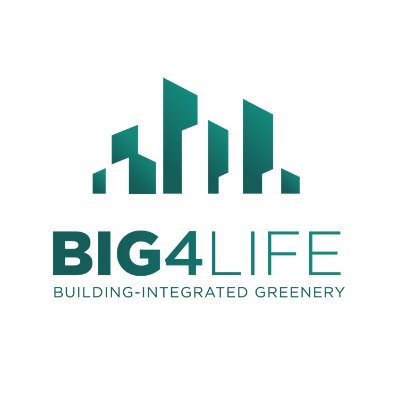 Big4Life Project Profile