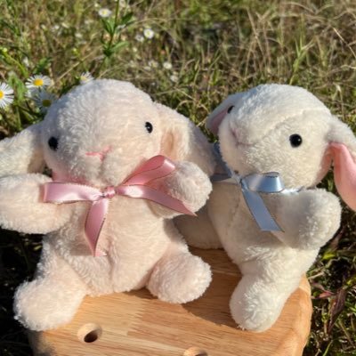 HuWaRi0801's profile picture. ふわもこなぬいぐるみを作っています♡ かわいい動物たちを作れるよう、日々奮闘中🔥💪 | minneで販売中です.｡.:*☆