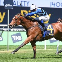 Kerrin McEvoy (@kpmcevoy) 's Twitter Profile