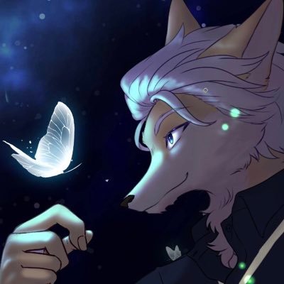 Fox McCainさんのプロフィール画像