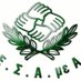 ESAMEA (@esameagr) Twitter profile photo