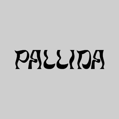Studio Pallida is a creative powerhouse specializing in crafting immersive digital experiences. We bring dreams to life!