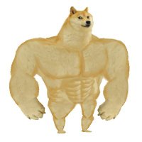 Swole Doge ($Swole) Real Liquidity on Raydium(@ThornEngineer) 's Twitter Profile Photo