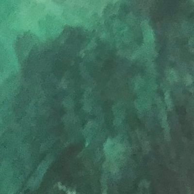 lilifee361's profile picture. 