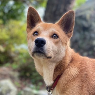 8V1SiWuE2PzETBD's profile picture. 