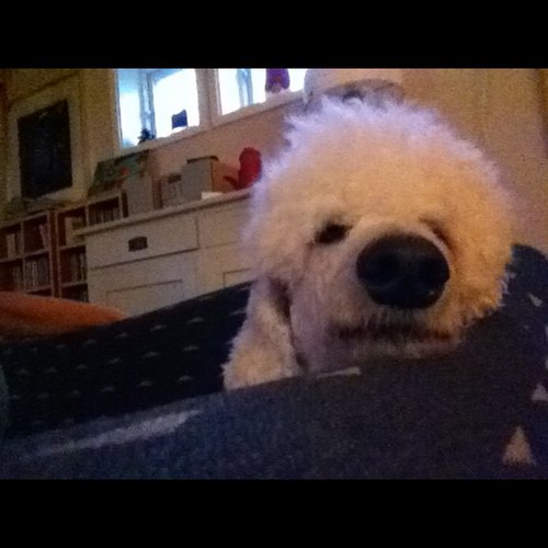 elizaskog's profile picture. 