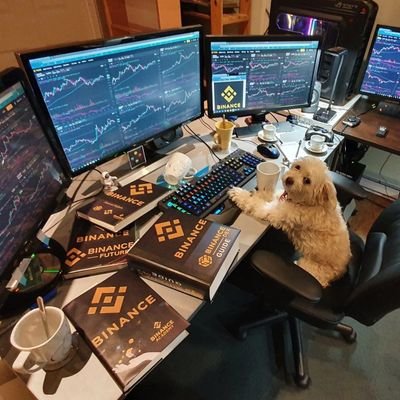 Crypto Investor & Trader