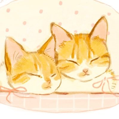 🎂2019.07.01🏡2020.01.19. 🐱치즈파 행동대장🐱 콧잔등이 하얀 오리🐥노란 너구리🦝 합쳐서 오리너구리🧡 사지말고 입양하세요!