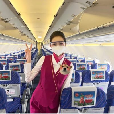 166841a's profile picture. 我是一名空乘，22岁，形象好，气质佳，求约，性欲强，活好，求带走，骨子里喜欢啪啪啪，喜欢我的好快约我吧……请加我电报：https://t.co/Q8GmcWLite