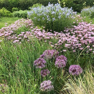 LifeLungsMalaga's profile picture. 