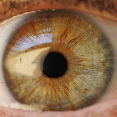 A888Cscec36000's profile picture. 888