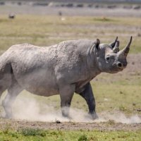 visitngorongoro (@visitngorongoro) 's Twitter Profile Photo visitngorongoro (@visitngorongoro) 's Twitter Profile Photo