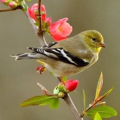 98588192's profile picture. 