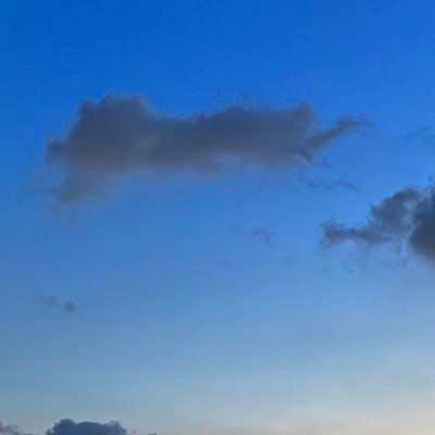 Z469262382563's profile picture. 5