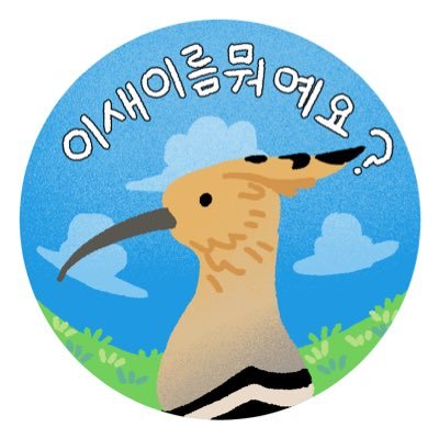 새를 물어보시면 탐조인들이 머리를 맞대고 답변해 드립니다. / 잘못된 정보 지적 환영! / 놓칠 경우 다시 태그주세요.