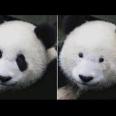 seven13ss's profile picture. 2021年から急に懸賞にハマりだしました。 Twitterでどれくらい当たるのかやってみます^_^