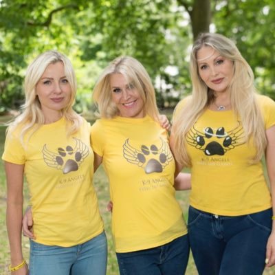 K-9 Angels is a UK registered charity no:1150314. Created in order to help dogs all over the world.