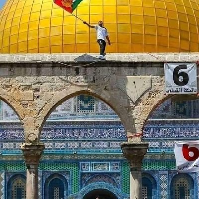 مصرى وأعشق فلسطين 🇵🇸