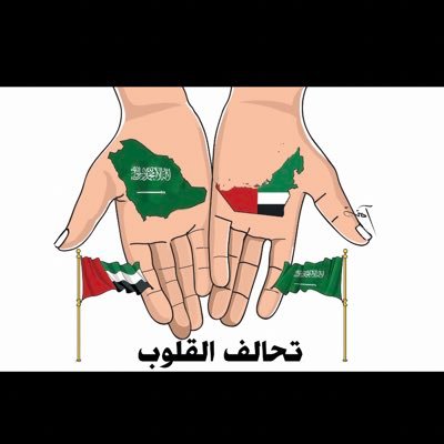 N14385's profile picture. 