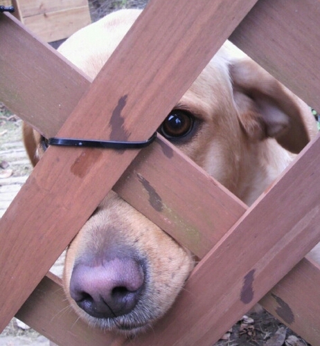 Ai_Kosaka's profile picture. untouchable