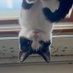 🌿﮼آآن (@lifeasnan) Twitter profile photo 🌿﮼آآن (@lifeasnan) Twitter profile photo