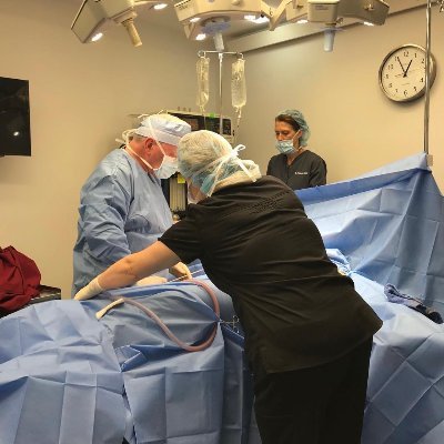 Aesthetic Plastic Surgeon, Facial Surgeon, FDA Investigator,
Anatomist, Face, Skincare, Injections, Doctor, Dermatologist, Medicine, Skin-Lab, Surgeons
