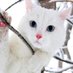 Анастасія Луцик (@lucika298) Twitter profile photo Анастасія Луцик (@lucika298) Twitter profile photo