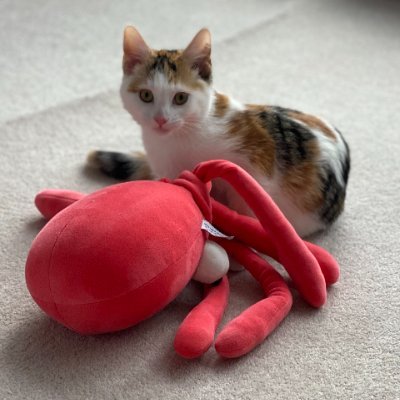 Alexyz1322's profile picture. 