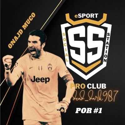 fifa pro club player🇮🇹 ruolo GK esperienze Vpg serie A LND ecup