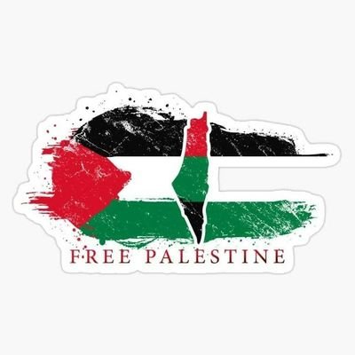 🤱⚕️🧠
📍Karachi

#CeasefireNow #FromRiverToSea #FreePalestine