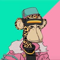 jin-san.eth $WELL .NYAN🔫😼 🐉 $MON (@xiaoshiping8888) 's Twitter Profile