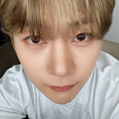 vuedearis's profile picture. zb1 & skz