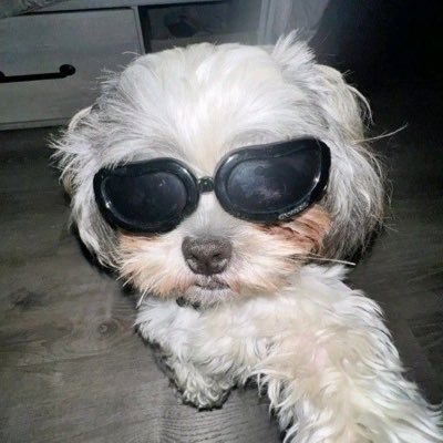 jamboさんのプロフィール画像