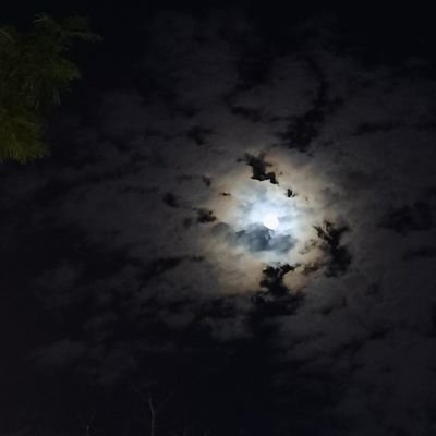 skkjcbx31602's profile picture. 