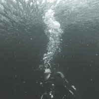 Molly Herring (@mollymherring) 's Twitter Profile