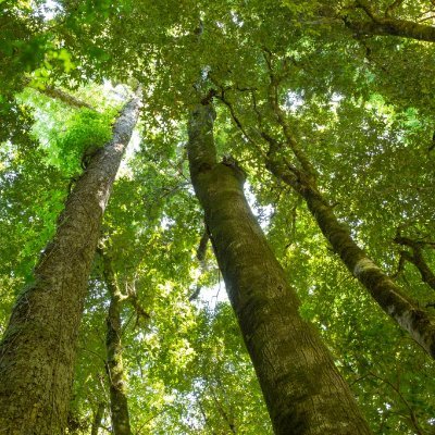 jonyelguarro's profile picture. 