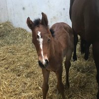 Archway stud. (@archwaystud) 's Twitter Profile